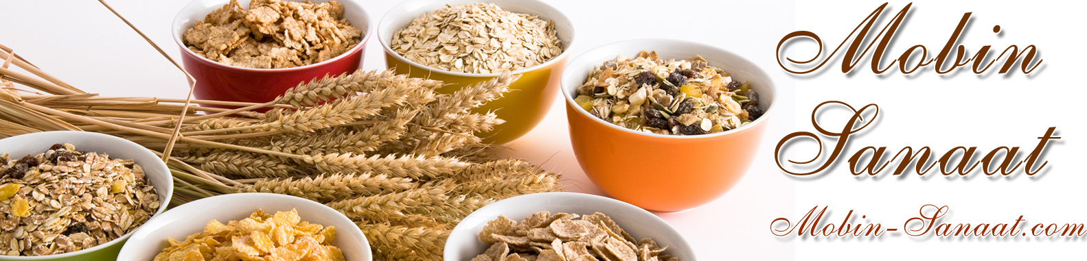 مبین ، تولید کننده ماشین آلات مواد غذایی